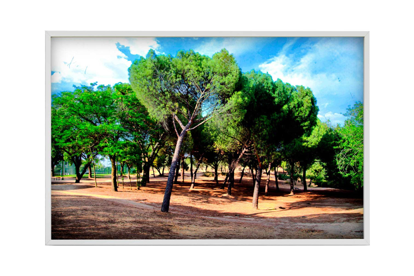 Madrid - Parque del Lago 2