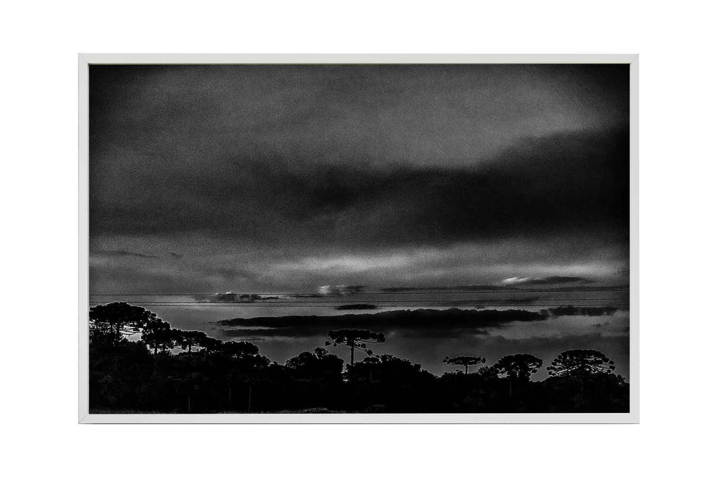 Rio Grande do Sul 03