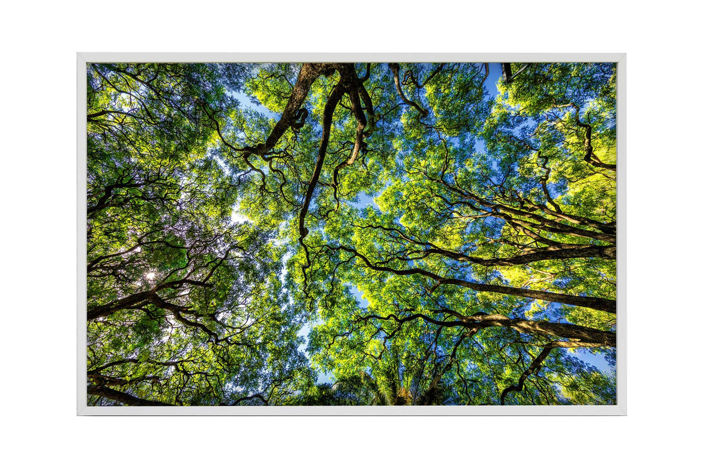 Montevidéu - Parque Rodo