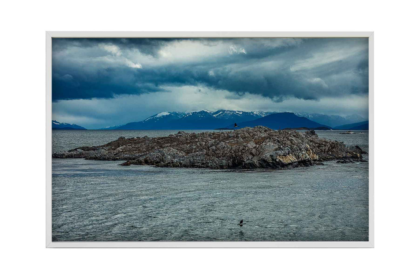Canal de Beagle - Isla