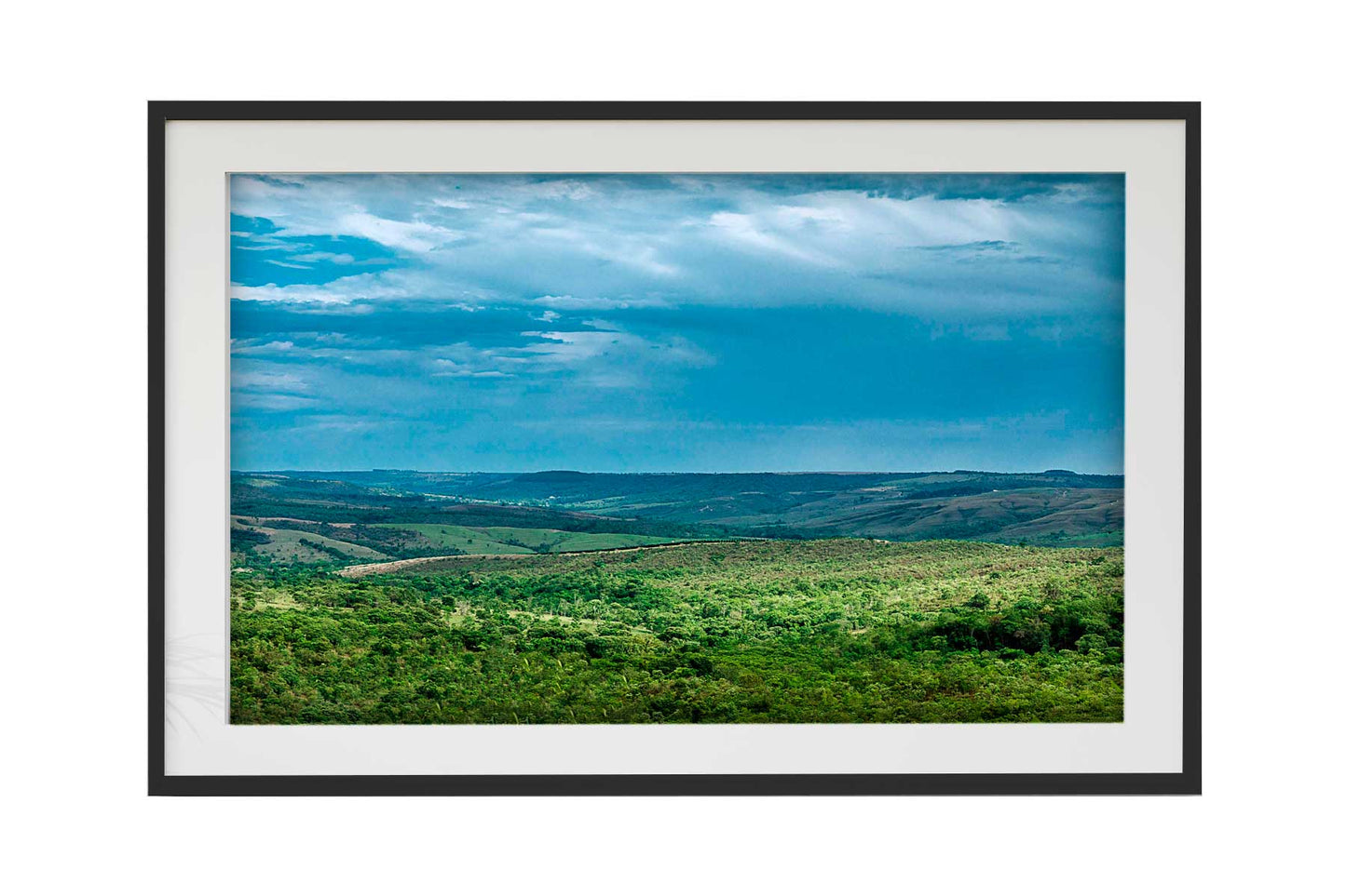 Cerrado 03