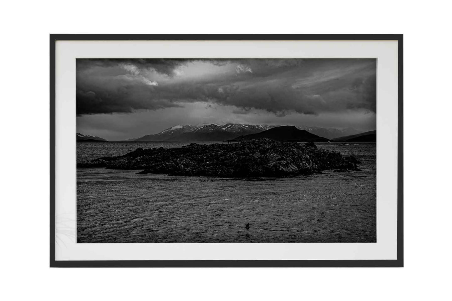 Canal de Beagle - Isla