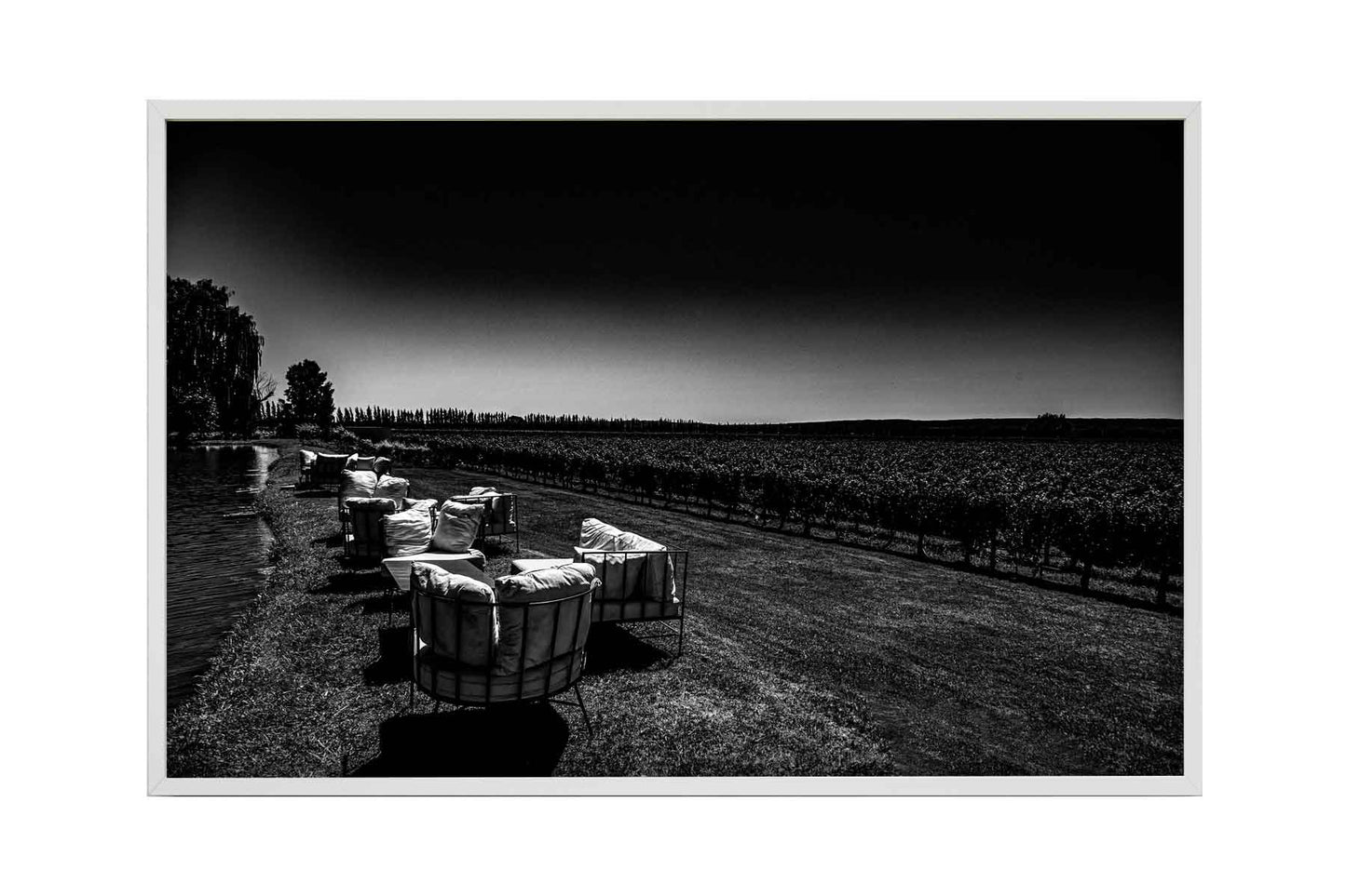 Vinicolas - Bodega Piattelli
