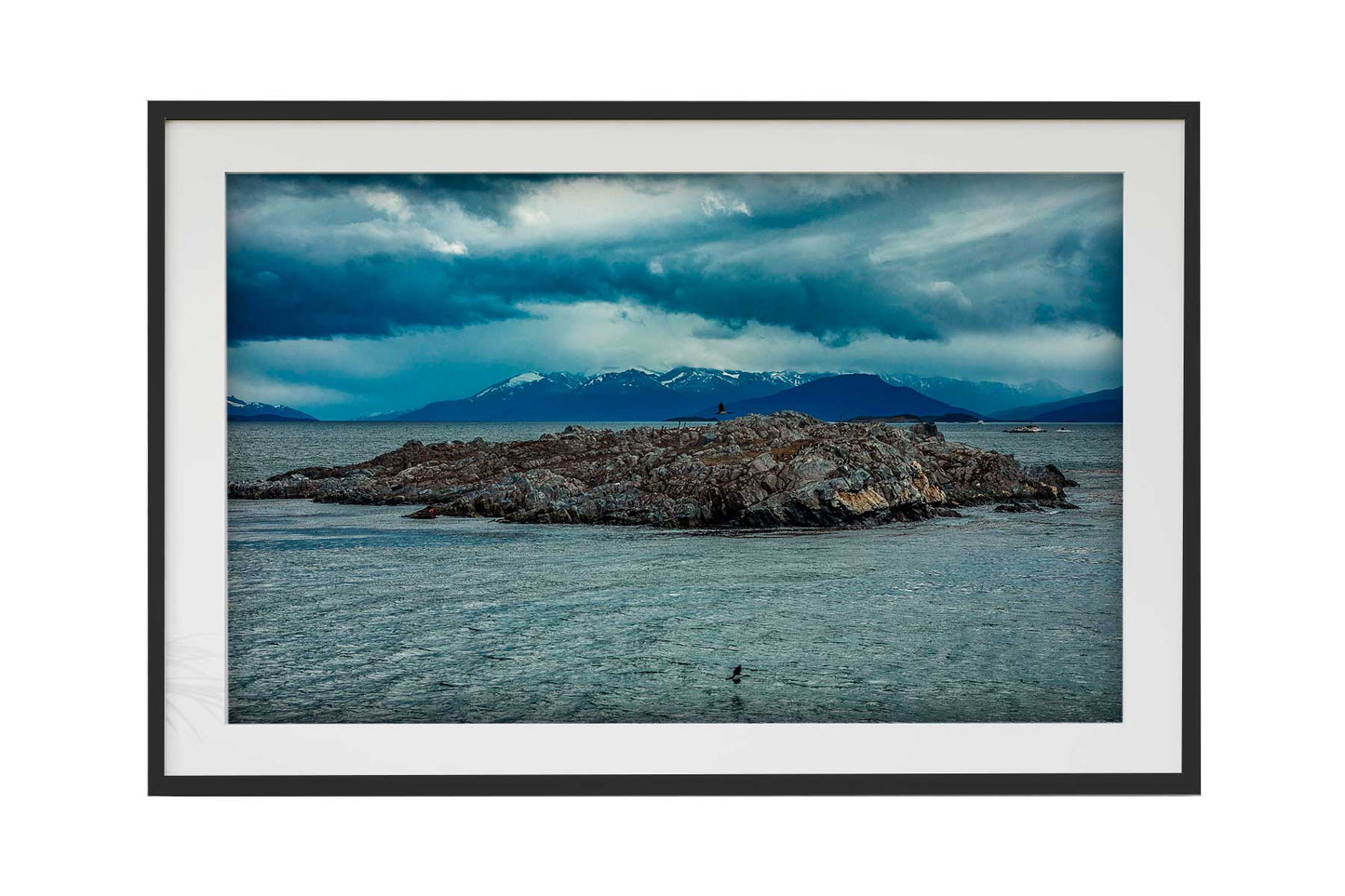 Canal de Beagle - Isla