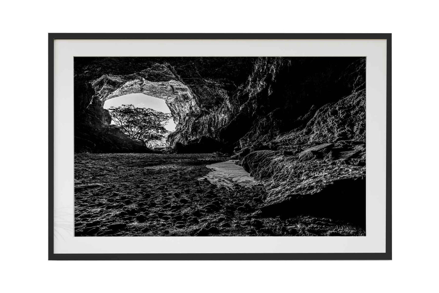Parque Terra Ronca - Caverna Terra Ronca