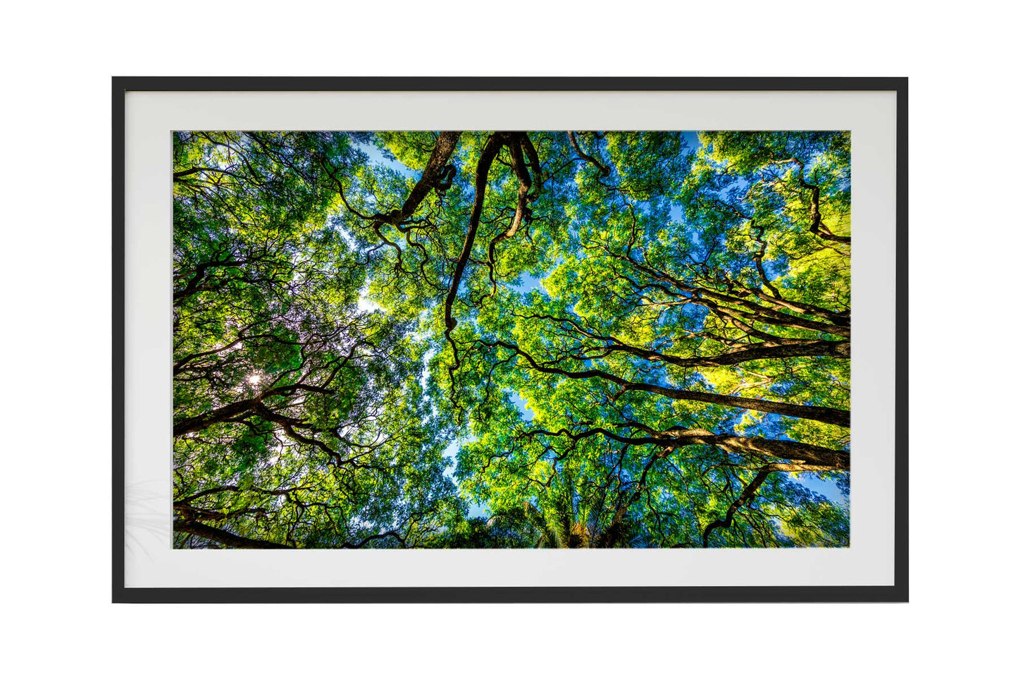 Montevidéu - Parque Rodo