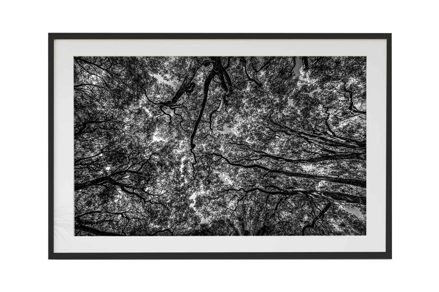 Montevidéu - Parque Rodo