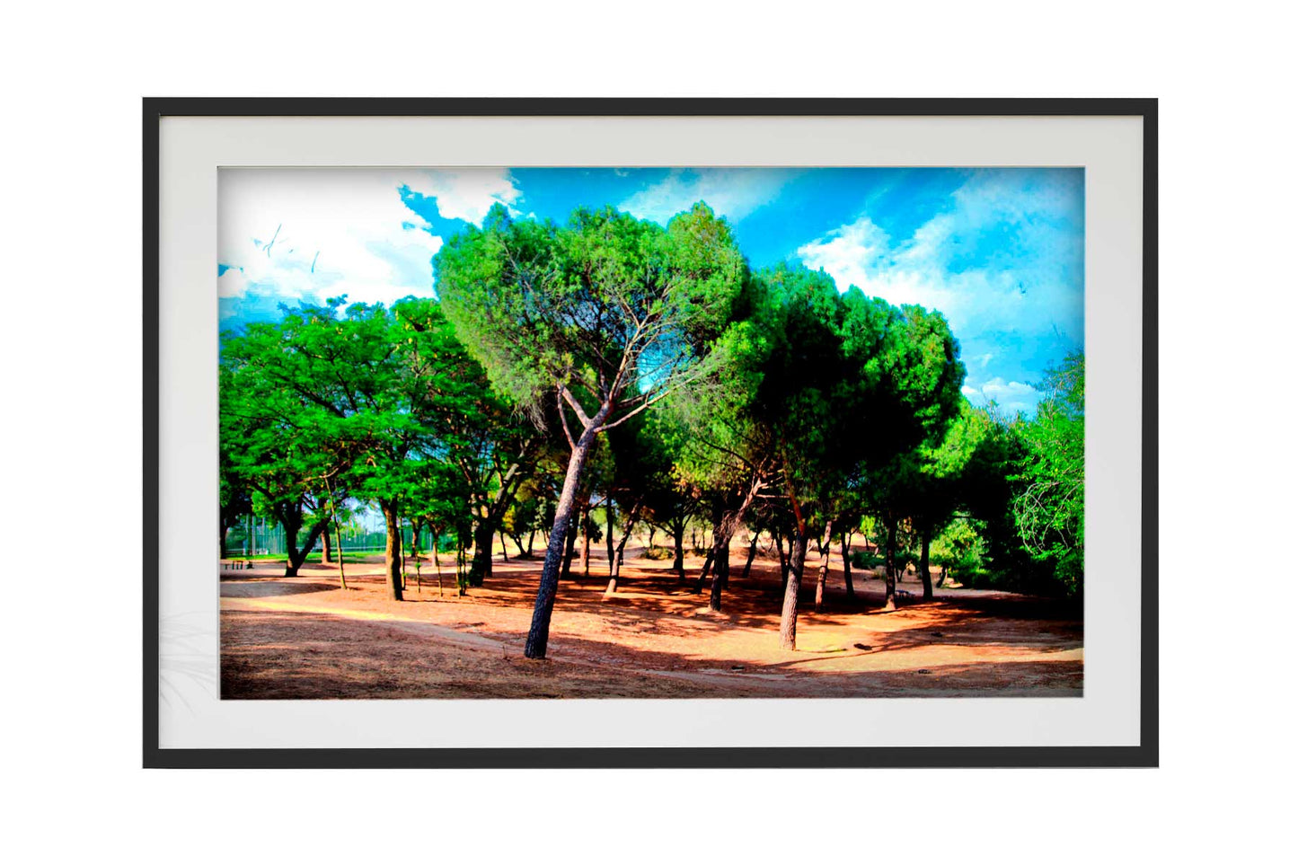 Madrid - Parque del Lago 2