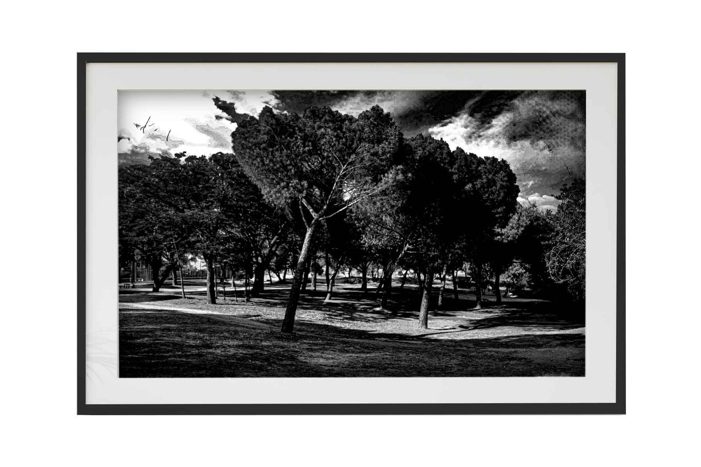 Madrid - Parque del Lago 2