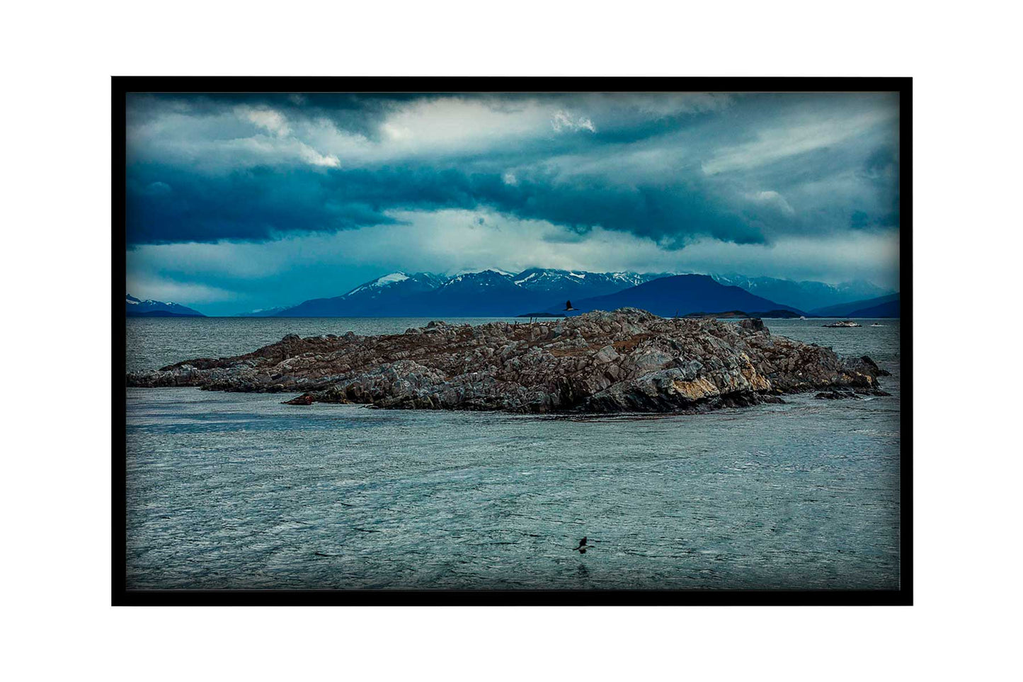 Canal de Beagle - Isla