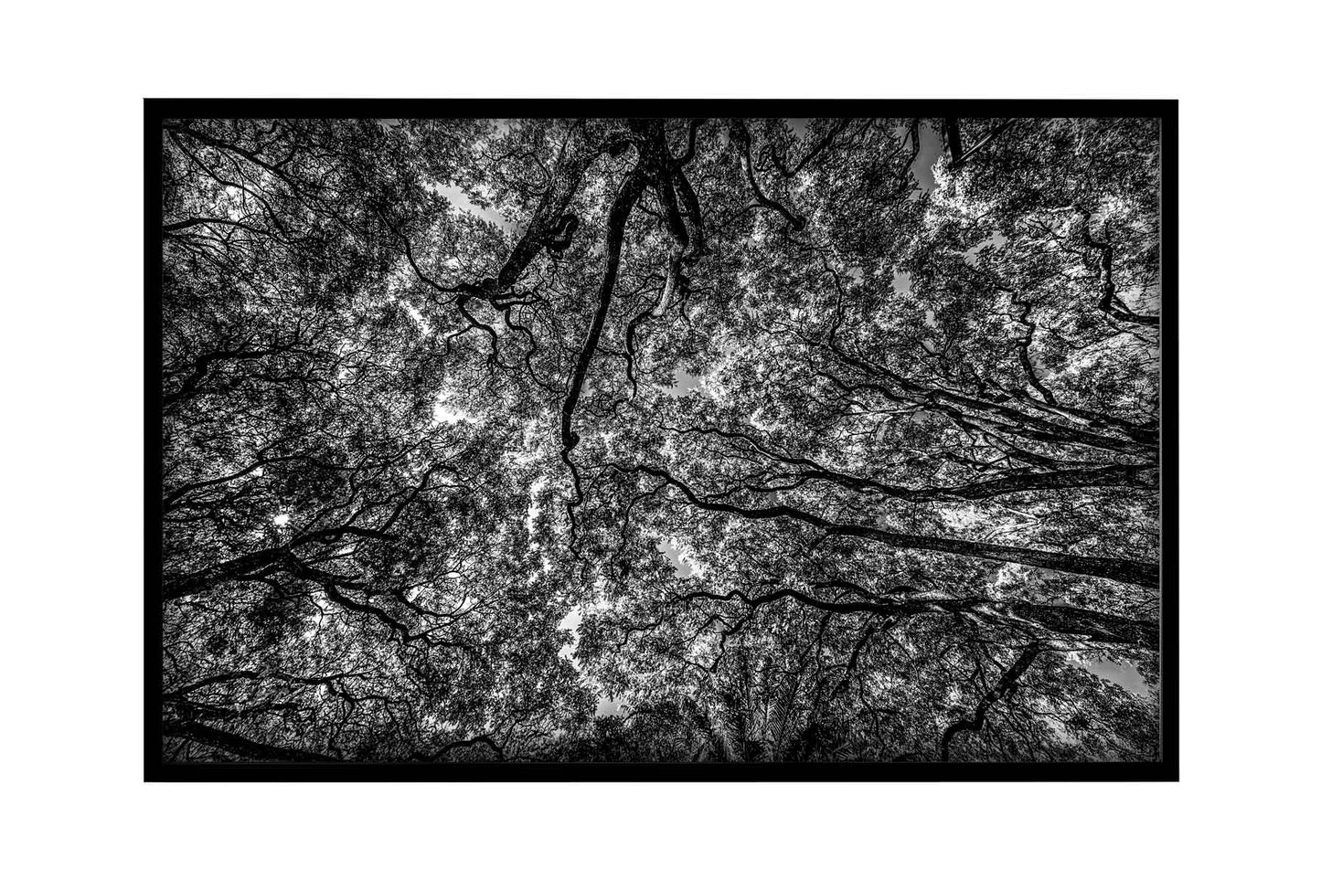 Montevidéu - Parque Rodo