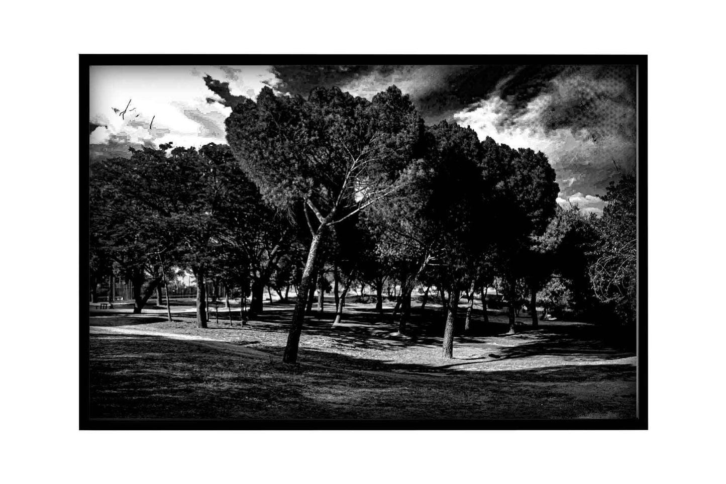 Madrid - Parque del Lago 2