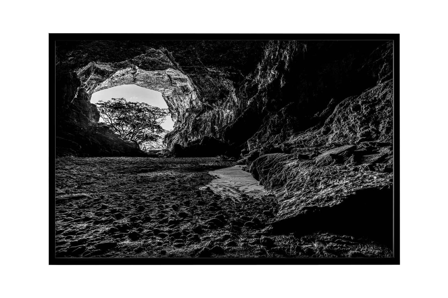 Parque Terra Ronca - Caverna Terra Ronca