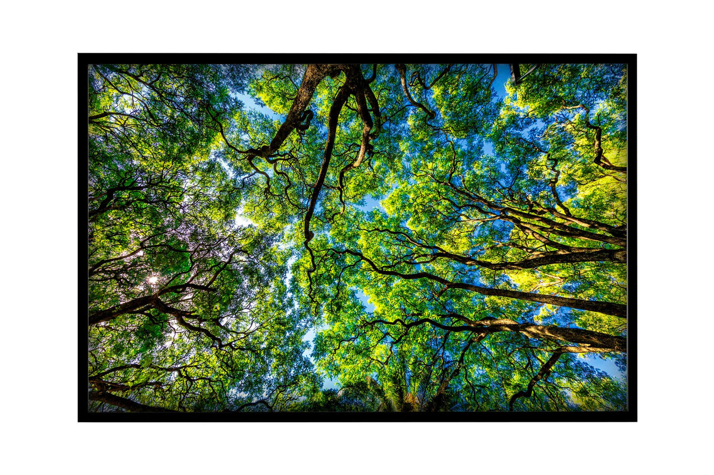 Montevidéu - Parque Rodo