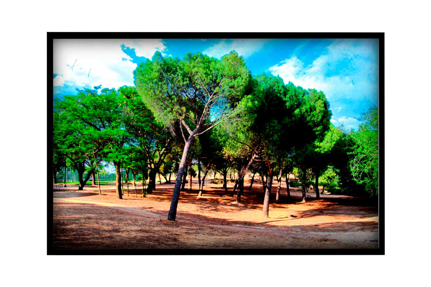 Madrid - Parque del Lago 2