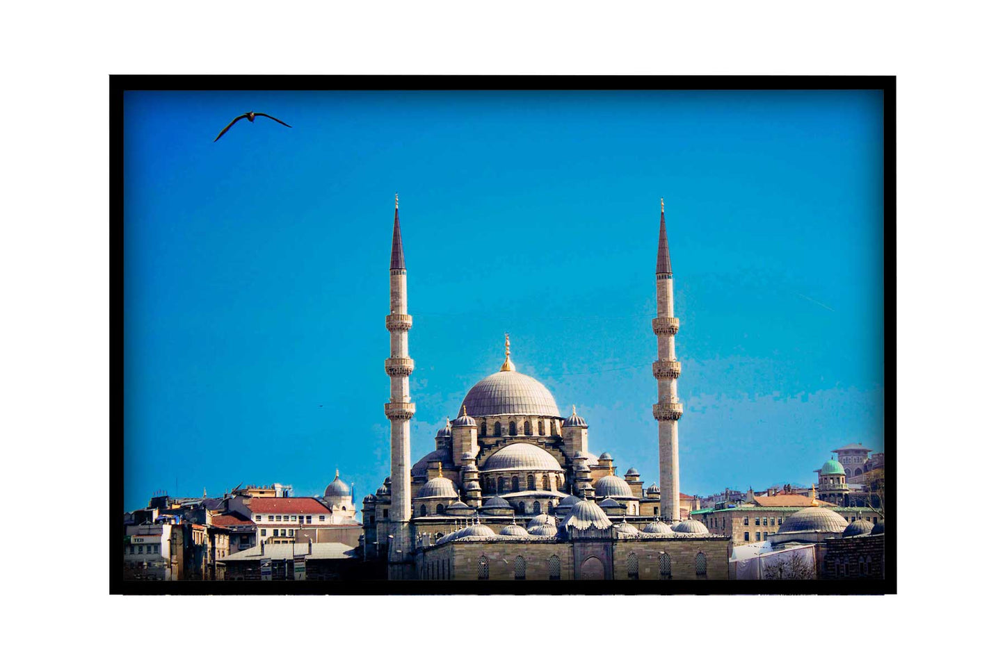 Istambul - Mesquita Azul 002