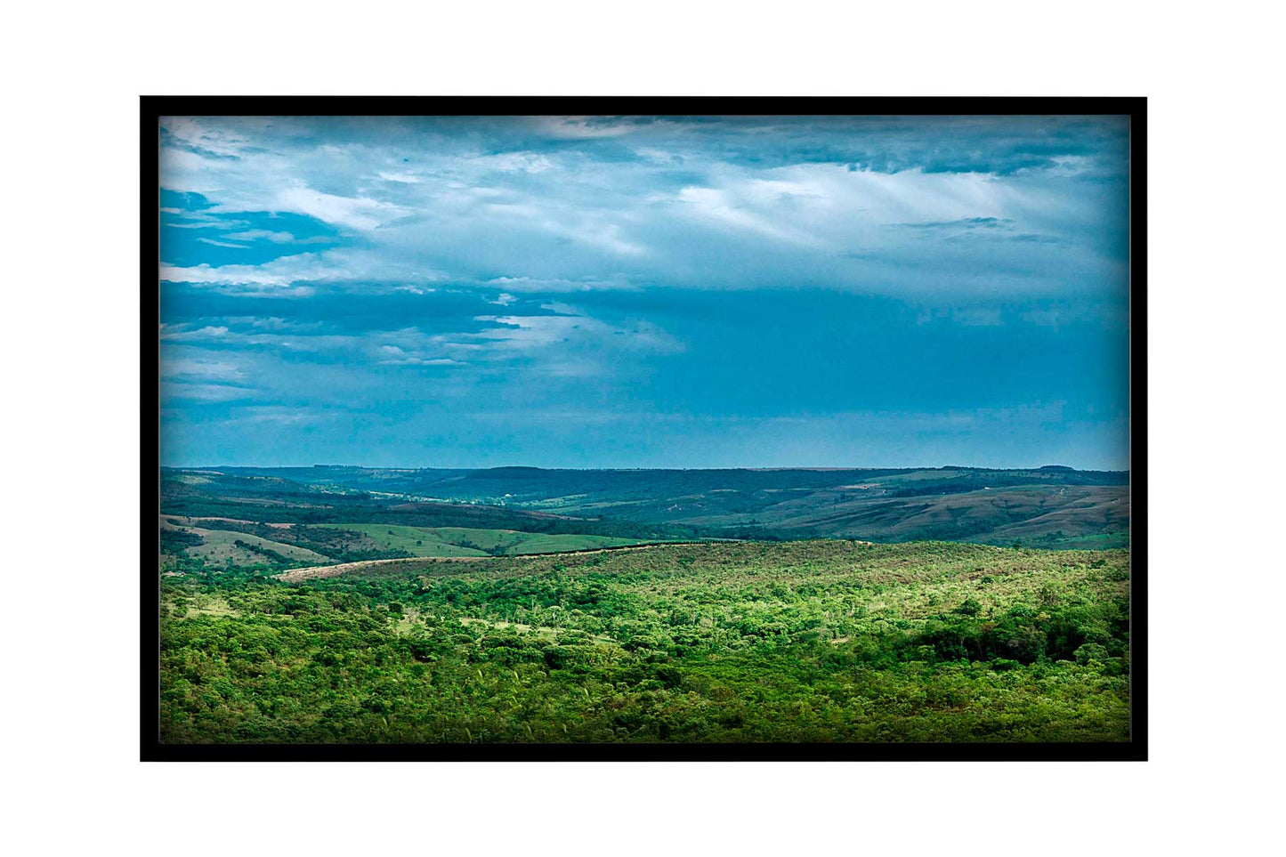 Cerrado 03