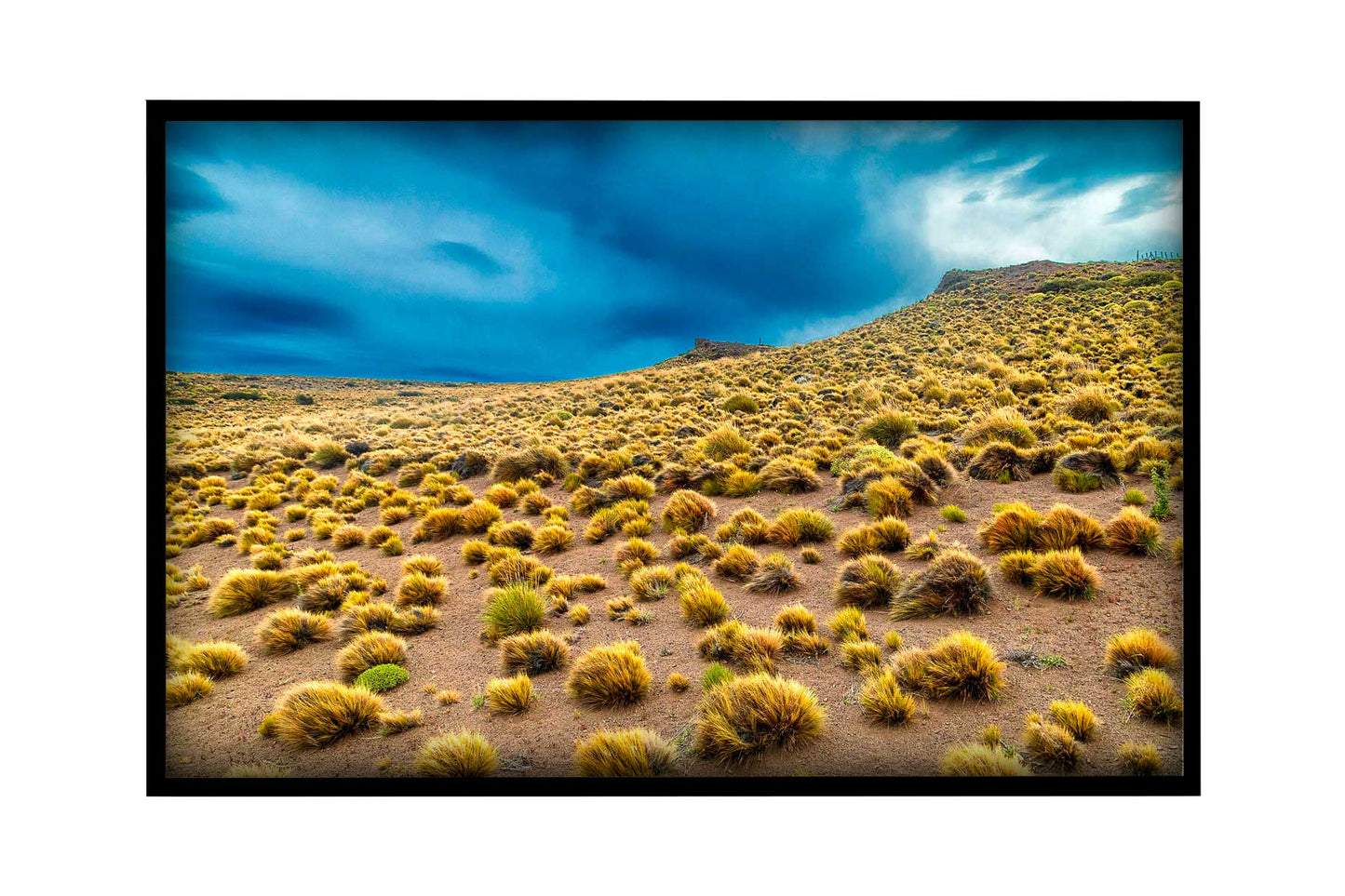 Parque Nacional da Patagônia - Ruta Escenica 1