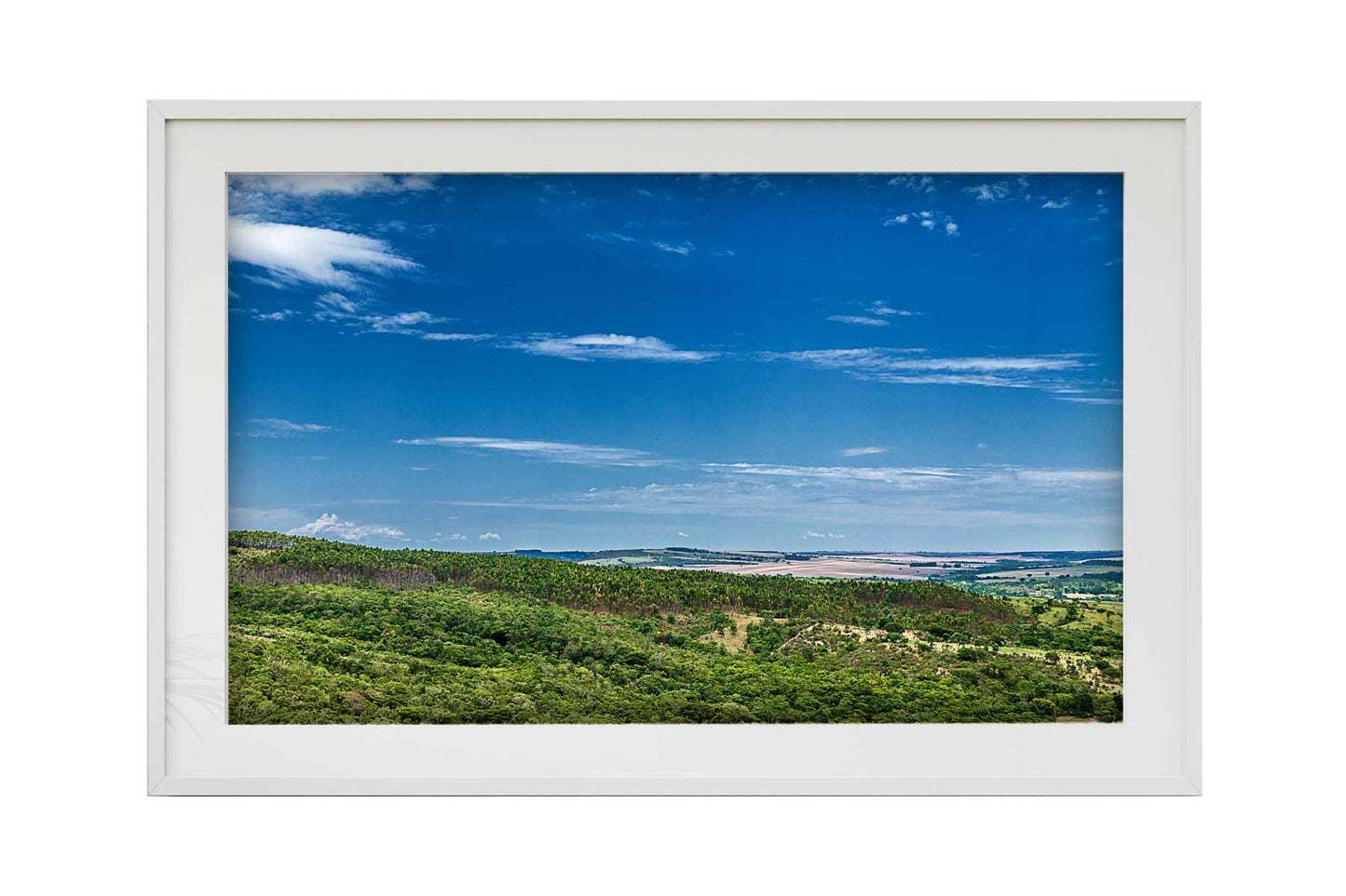 Cerrado 04
