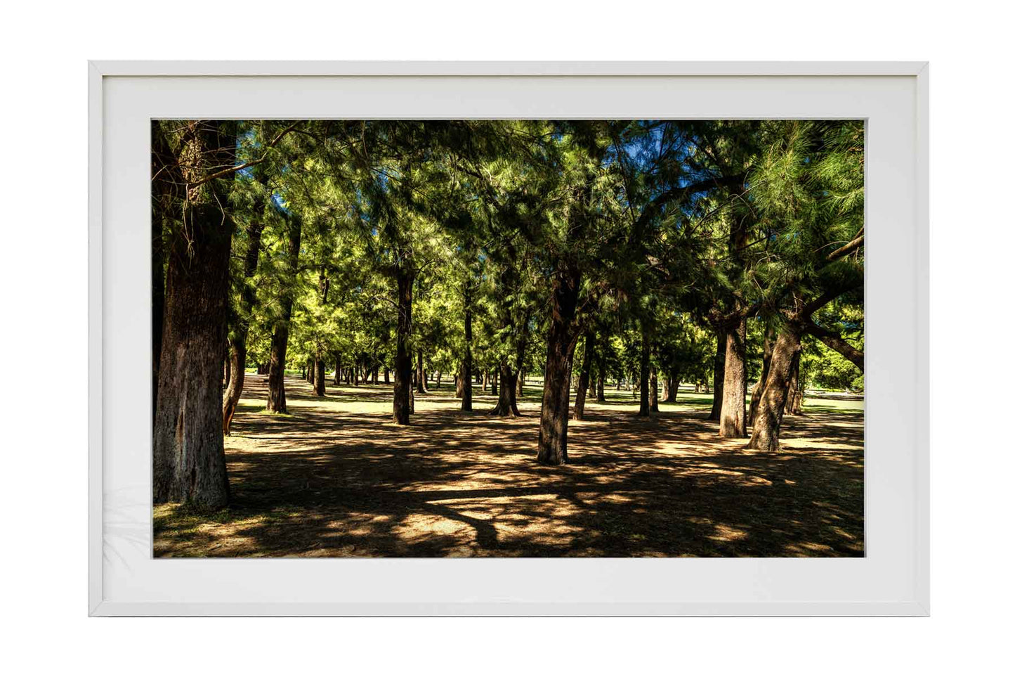Buenos Aires - Parque 3 de Febrerero