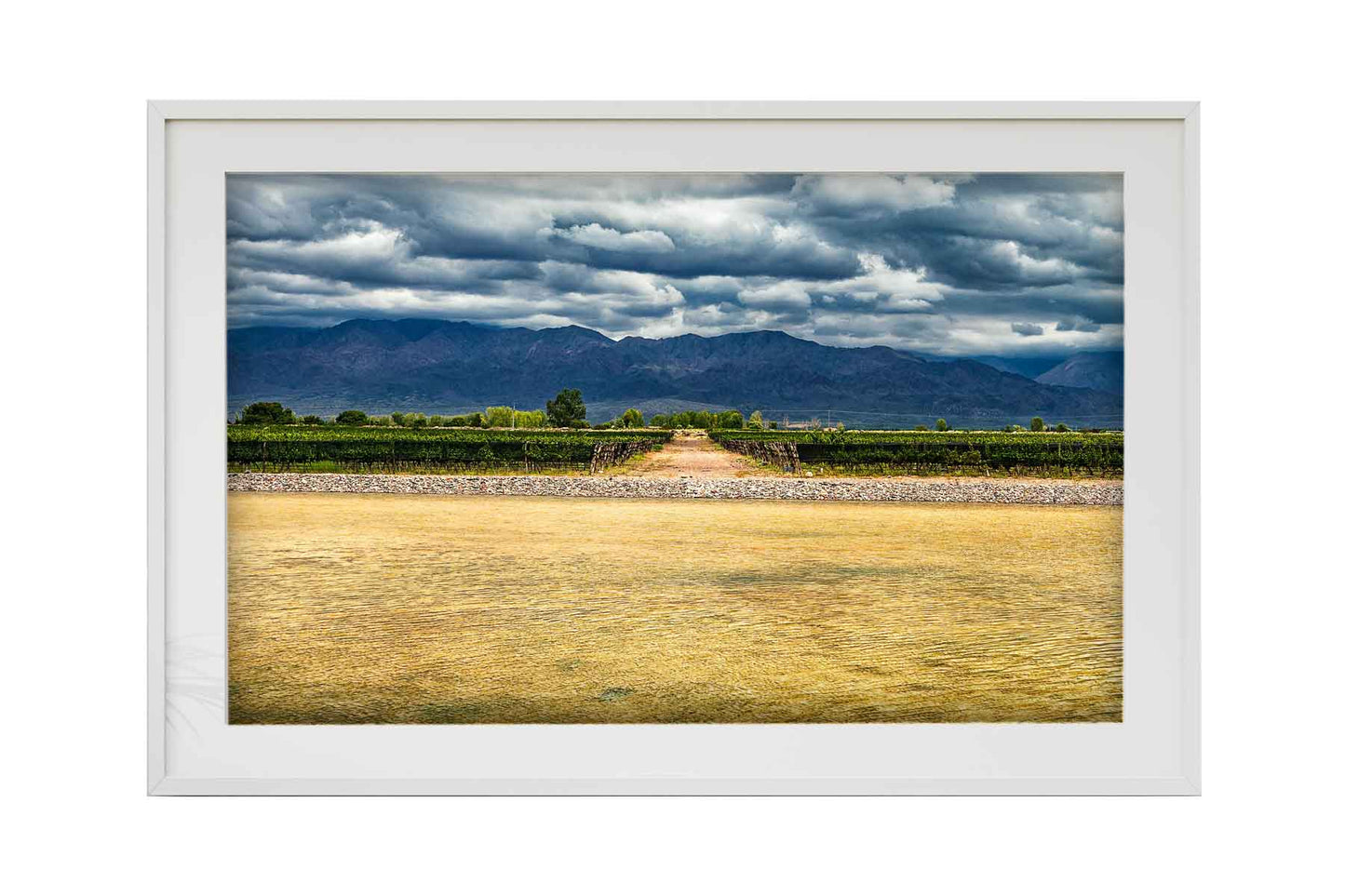 Vinicolas - Bodega Alfa Cux 2