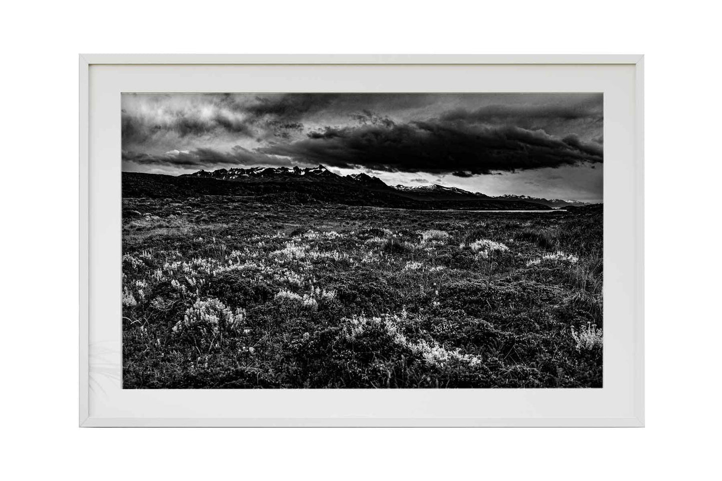 Canal de Beagle - Isla Bridges 1