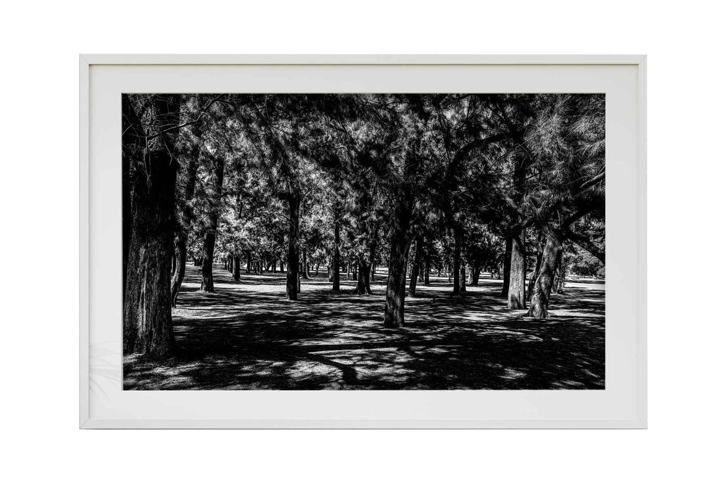 Buenos Aires - Parque 3 de Febrerero