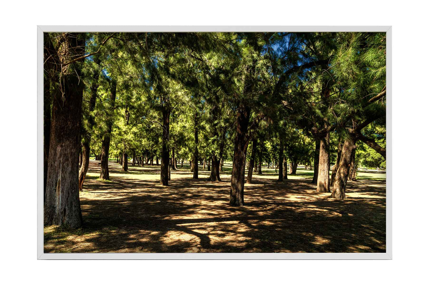 Buenos Aires - Parque 3 de Febrerero