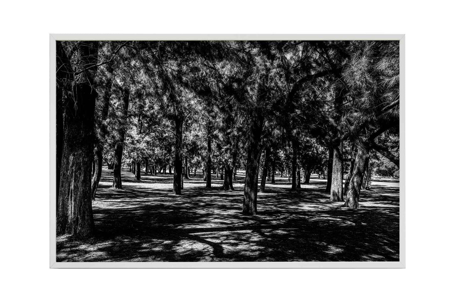 Buenos Aires - Parque 3 de Febrerero