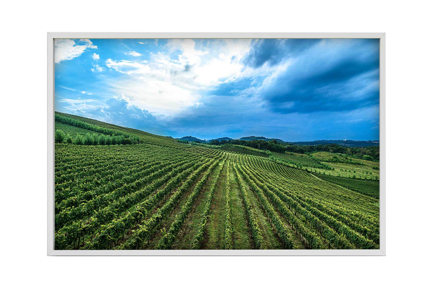 Vinicolas - Spa do Vinho