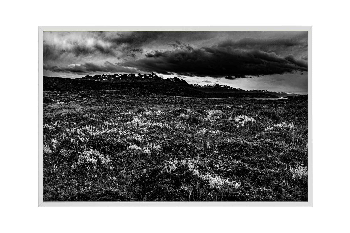 Canal de Beagle - Isla Bridges 1