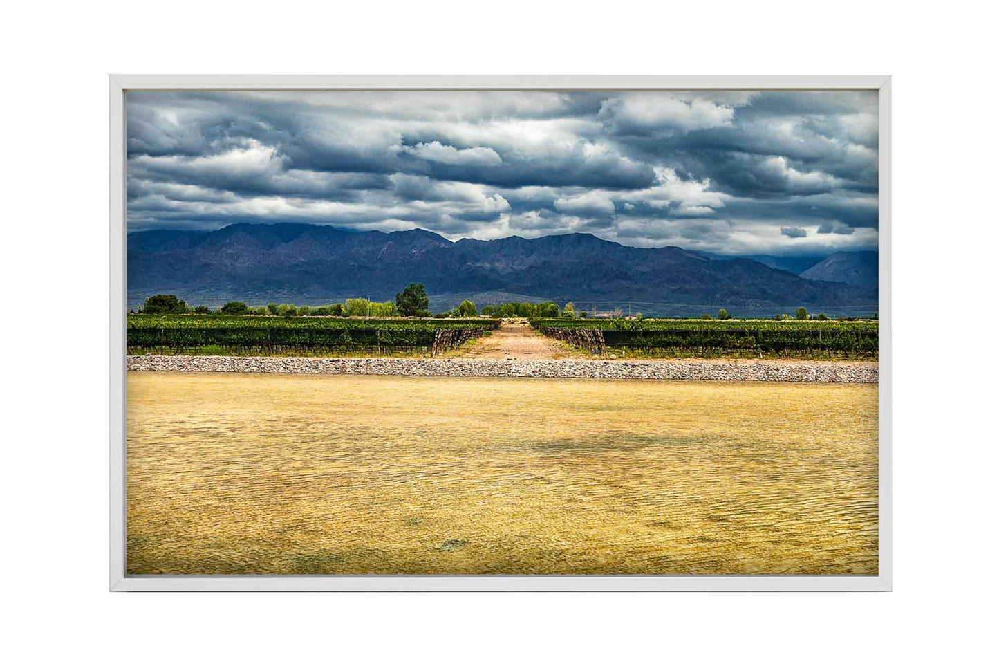 Vinicolas - Bodega Alfa Cux 2