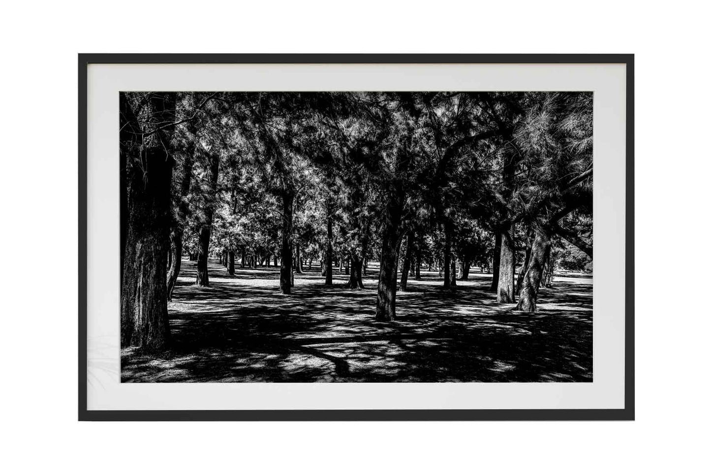 Buenos Aires - Parque 3 de Febrerero