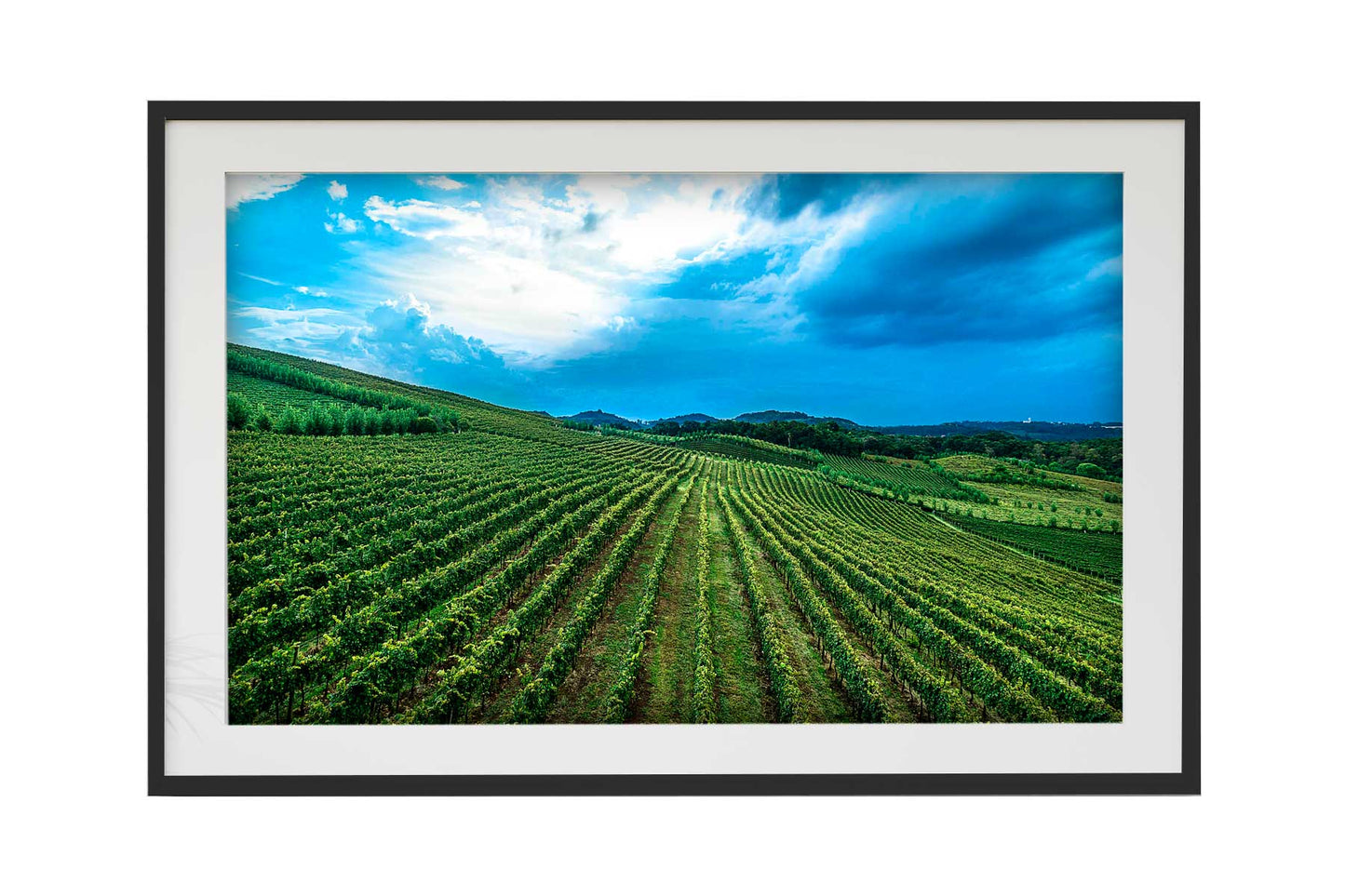 Vinicolas - Spa do Vinho