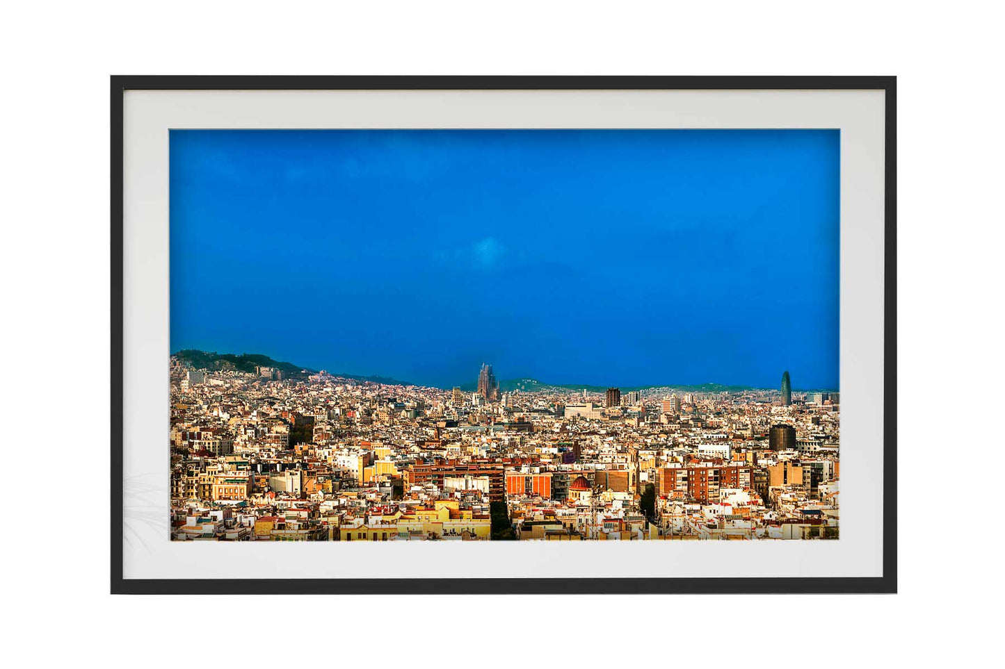 Barcelona Panorâmica - Sagrada Familia
