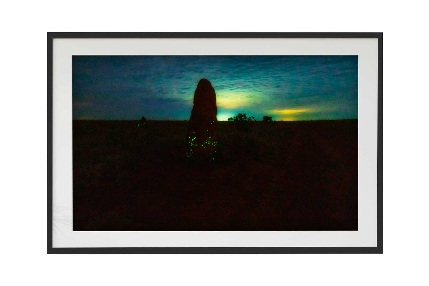 Cupinzeiros Bioluminescentes 4