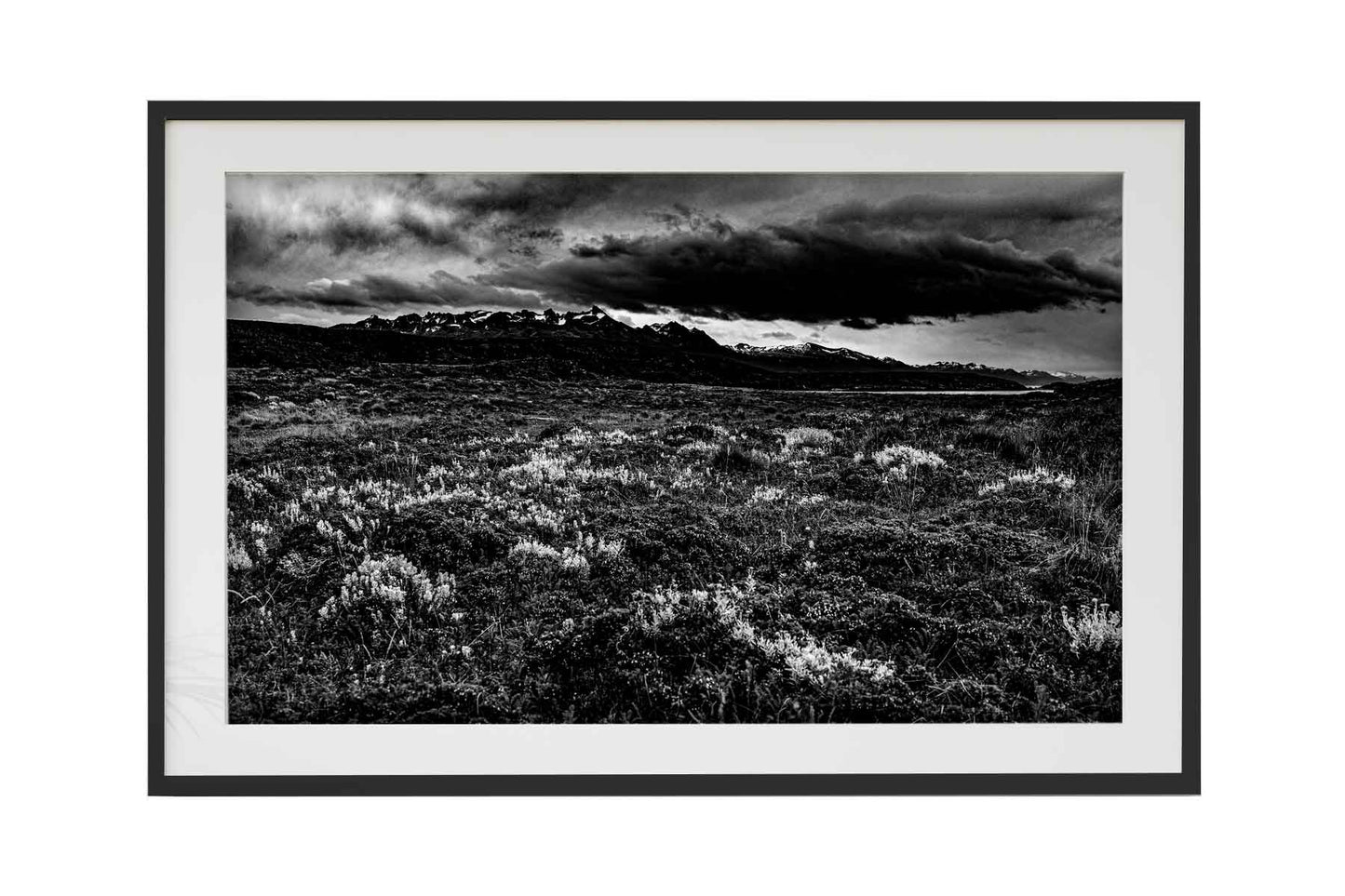 Canal de Beagle - Isla Bridges 1