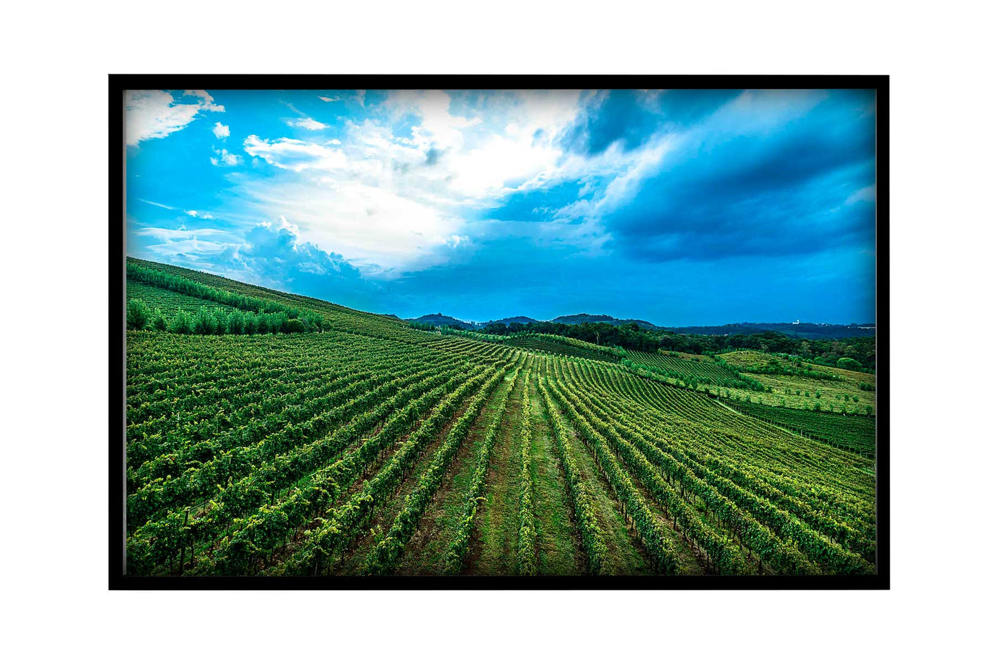 Vinicolas - Spa do Vinho