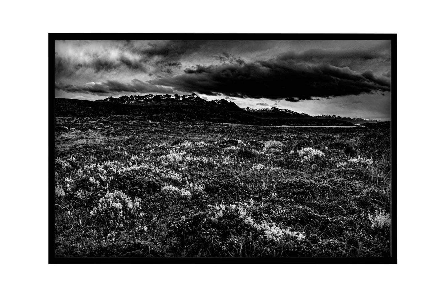 Canal de Beagle - Isla Bridges 1