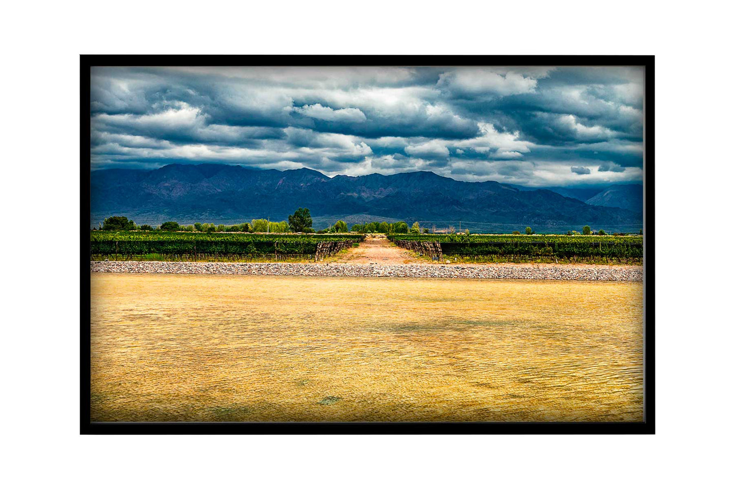 Vinicolas - Bodega Alfa Cux 2