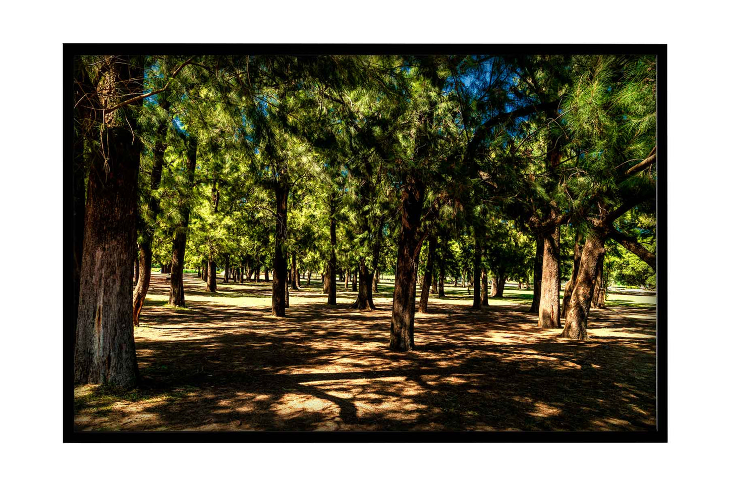 Buenos Aires - Parque 3 de Febrerero