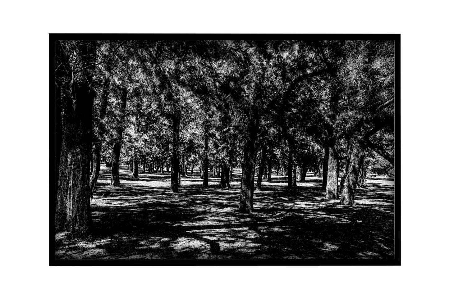 Buenos Aires - Parque 3 de Febrerero