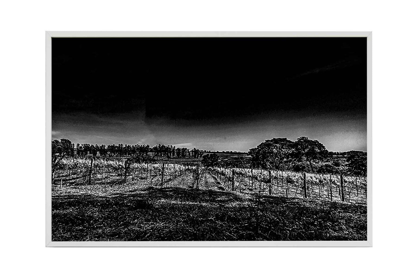 Vinicolas - Vinicola Biagi