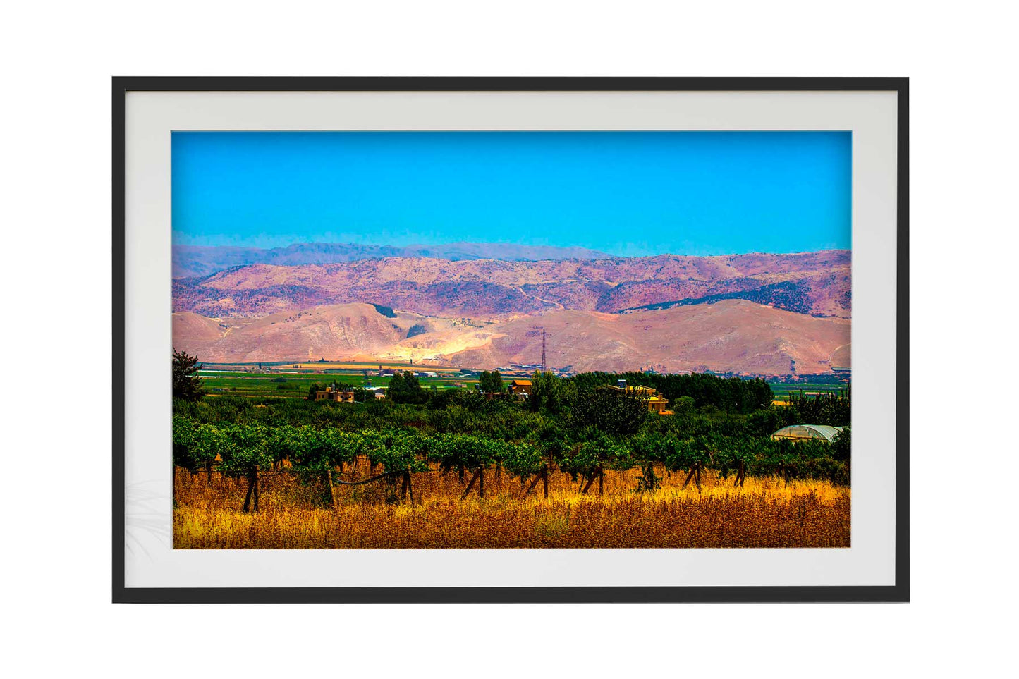 Libano - Zahle