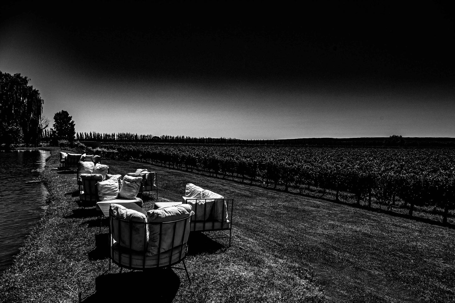Vinicolas - Bodega Piattelli