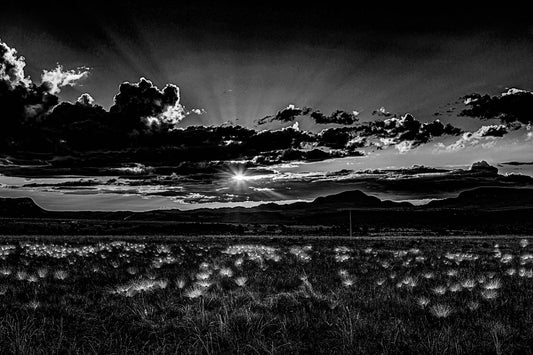 Chapada dos Veadeiros - Campo do Chuveirinho 01
