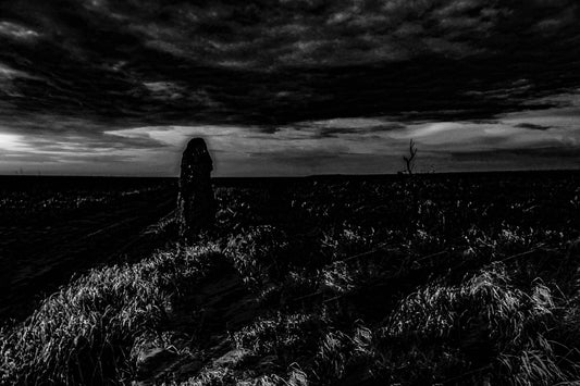 Cupinzeiros Bioluminescentes 1