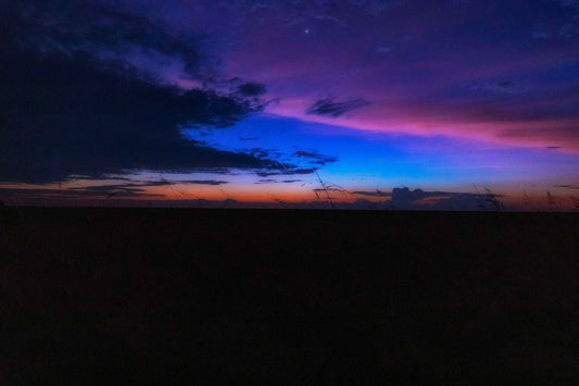 Cupinzeiros Bioluminescentes 2