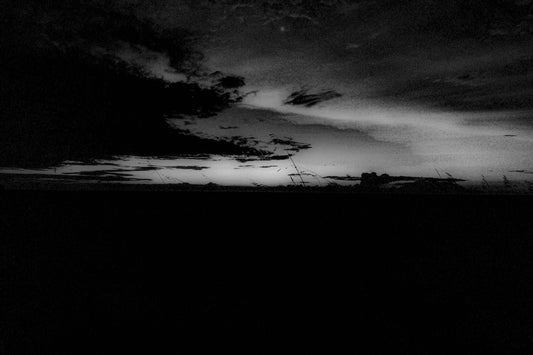 Cupinzeiros Bioluminescentes 2