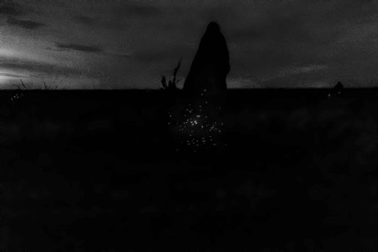 Cupinzeiros Bioluminescentes 3